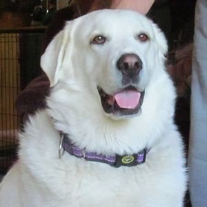 Meet your Posher, Mary anne